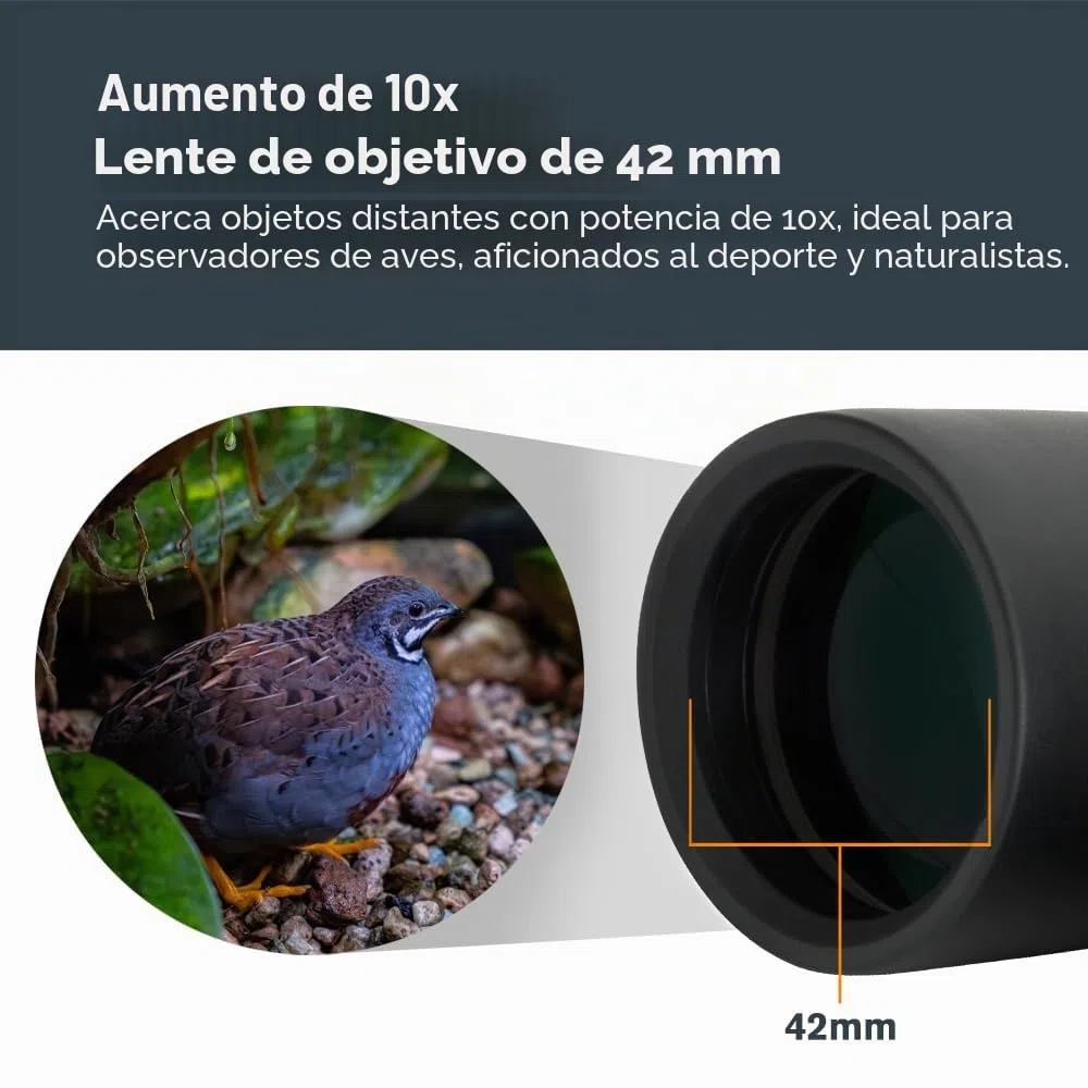 Celestron 71347 10 x 42 Outland X: prismáticos, negro