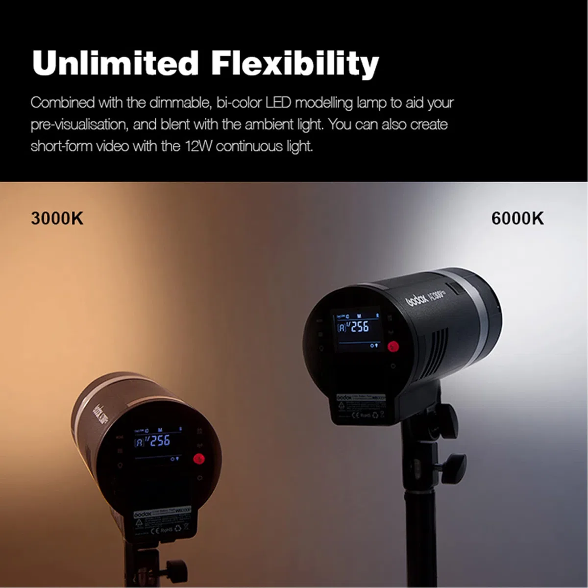 Godox AD300Pro AD300 Pro Studio Flash， 300Ws TTL 2.4G HSS 1/8000s con batería de Litio de Alto Rendimiento y Montaje Bowens Compatible para Nikon Canon Sony Fuji Olympus Cámara Panasonic