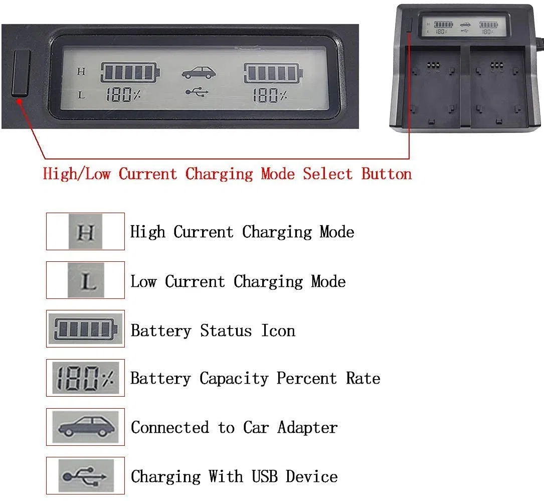 DSTE BP-U60 Batería + LCD Cargador Compatible para Sony PMW-150P,PMW-160,PMW-200,PMW-EX1,PMW-EX1R,PMW-EX3,PMW-EX3R,PMW-EX160,PMW-EX260,PMW-F3K,PMW-F3L,PXW-X180