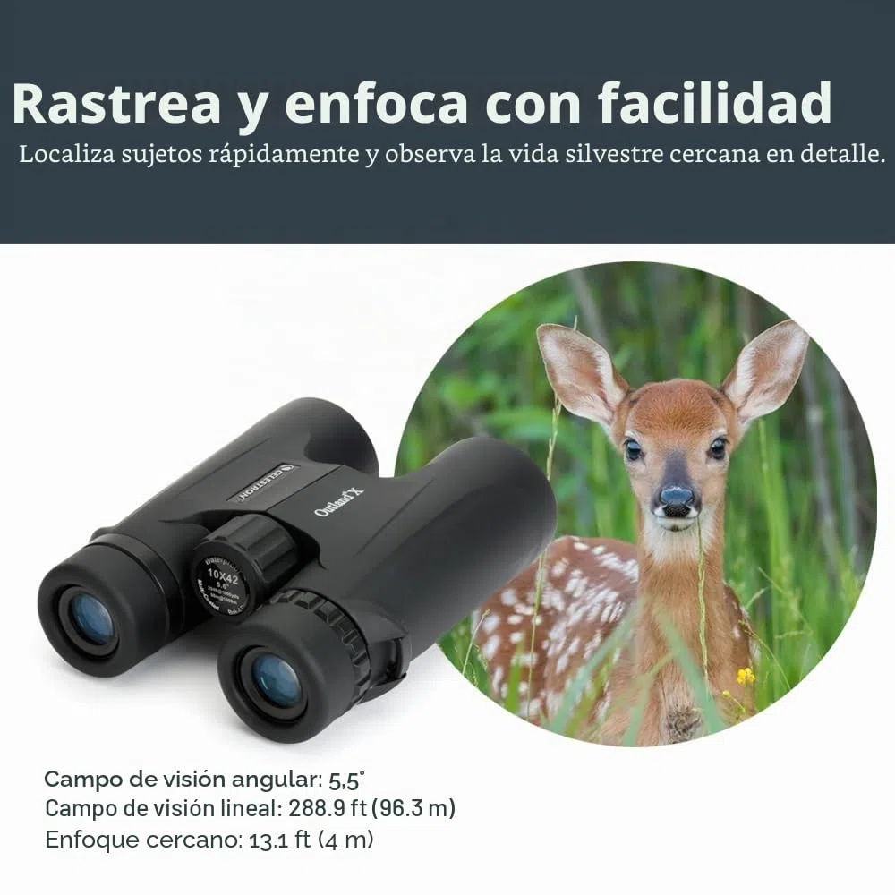 Celestron 71347 10 x 42 Outland X: prismáticos, negro